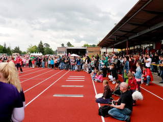 Foto 138454 im Album
