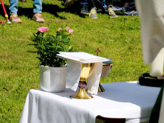 Vorschau des nächsten Fotos