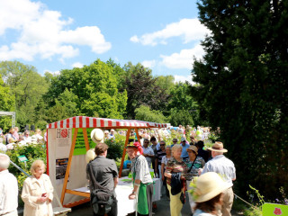 Foto 139272 im Album