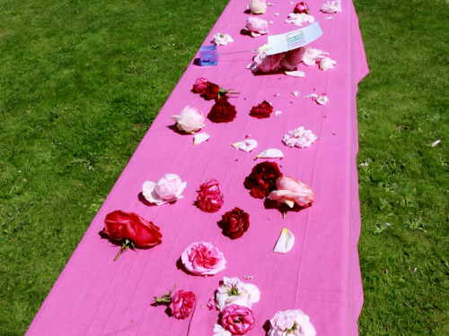 Rosenfest – Foto 7