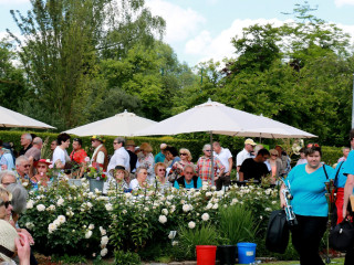 Foto 139300 im Album
