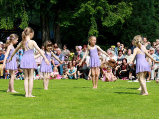 Foto 139318 im Album