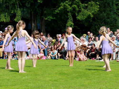 Rosenfest – Foto 47