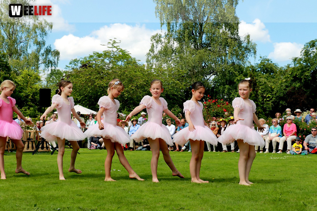 Rosenfest