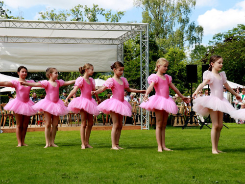 Rosenfest – Foto 57