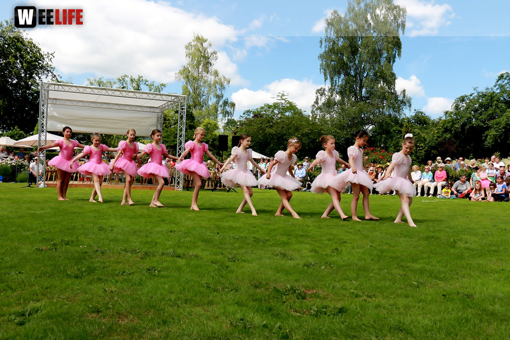 Rosenfest