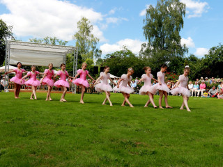 Foto 139329 im Album