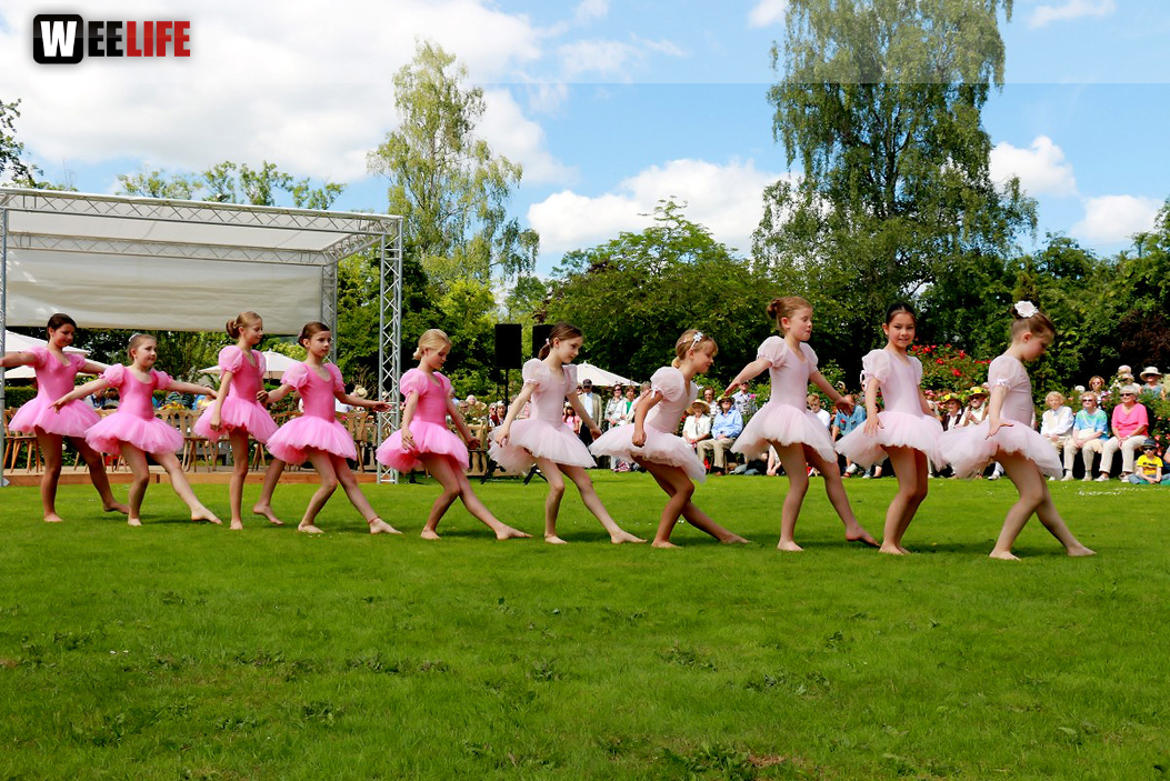 Rosenfest