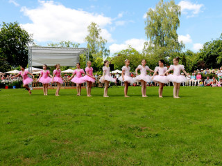 Foto 139331 im Album