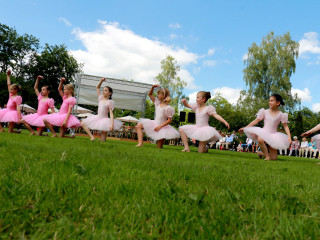 Foto 139333 im Album
