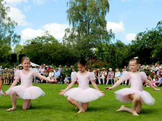 Foto 139334 im Album