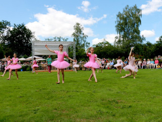 Foto 139337 im Album