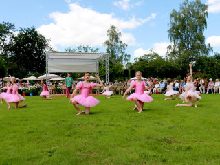 Foto 139339 im Album