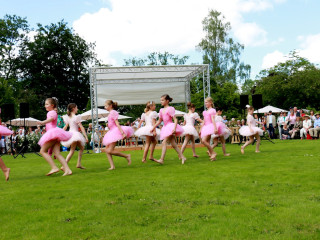 Foto 139340 im Album