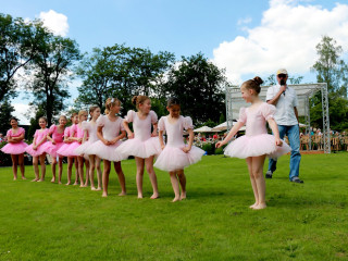 Foto 139343 im Album