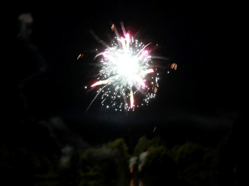 40 Jahre Tauperlitz Seefest  Feuerwerk – Foto 14