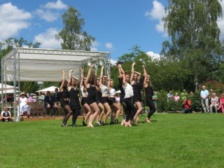 Foto 139819 im Album