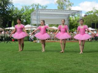 Foto 139887 im Album