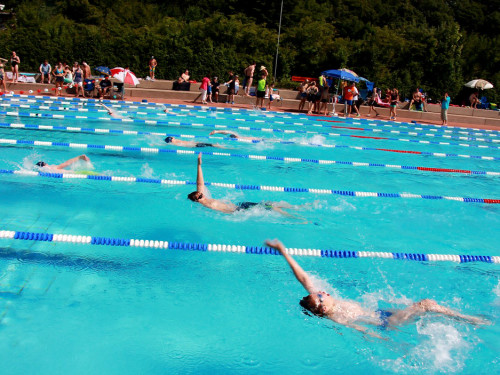 Oberfränkische Meisterschaft Schwimmen – Foto 40