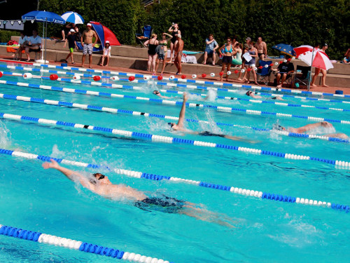 Oberfränkische Meisterschaft Schwimmen – Foto 42