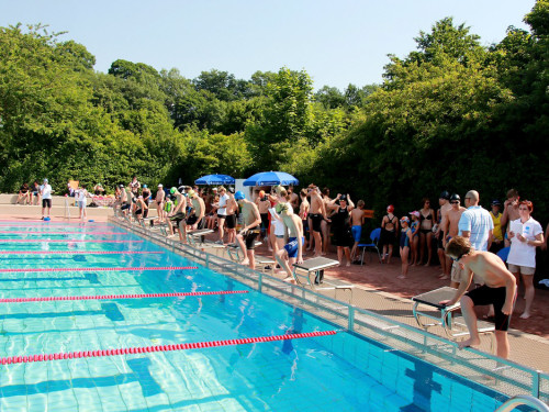Oberfränkische Meisterschaft Schwimmen – Foto 46