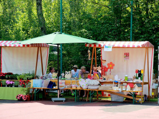 Foto 141386 im Album
