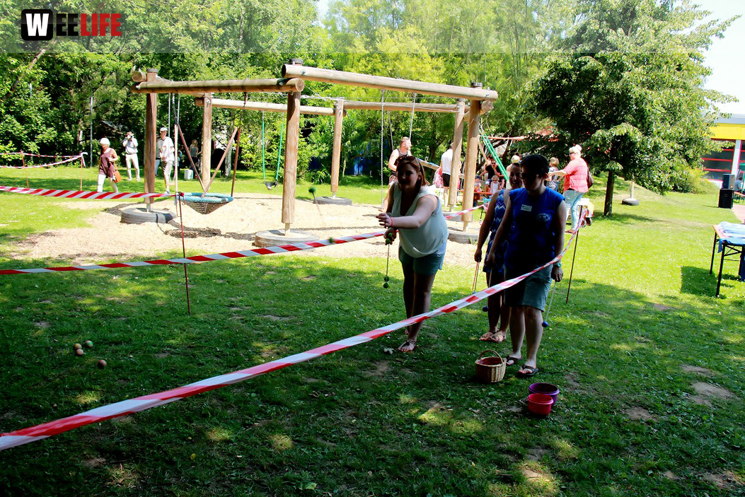 Sommer Garten Fest