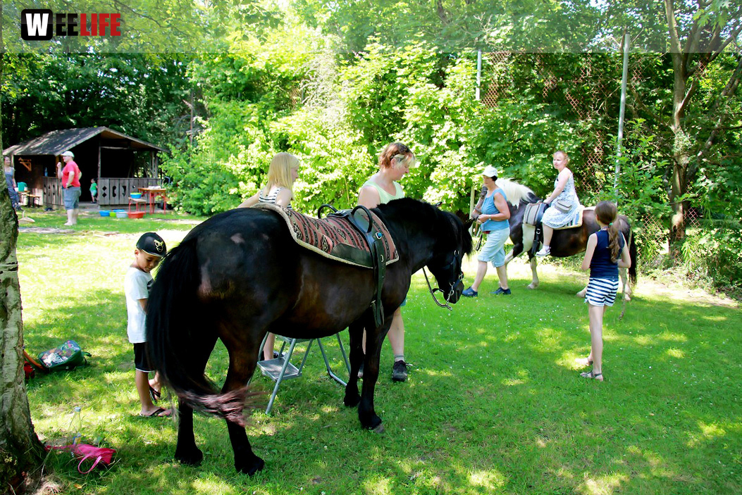 Sommer Garten Fest