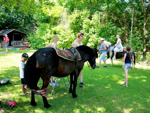 Sommer Garten Fest – Foto 23