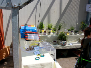 Foto 141409 im Album