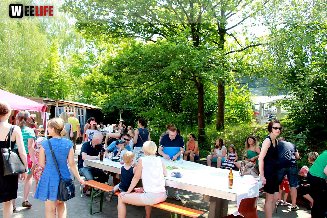 Sommer Garten Fest