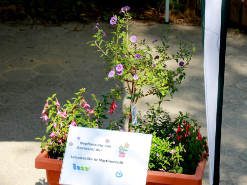 Sommer Garten Fest – Foto 46