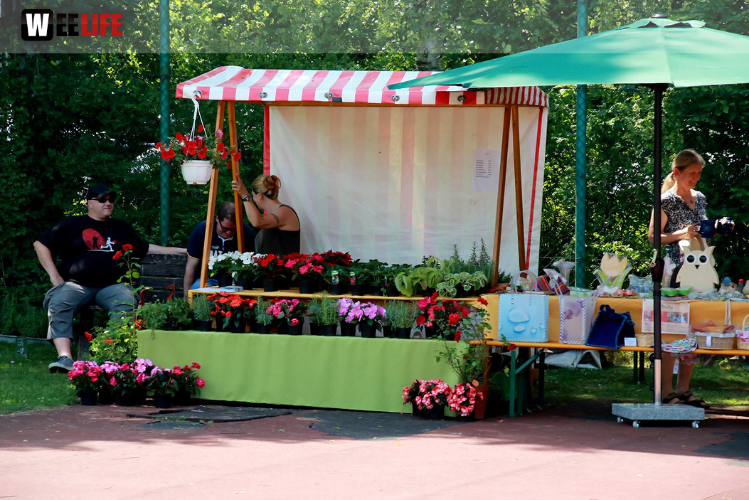 Sommer Garten Fest
