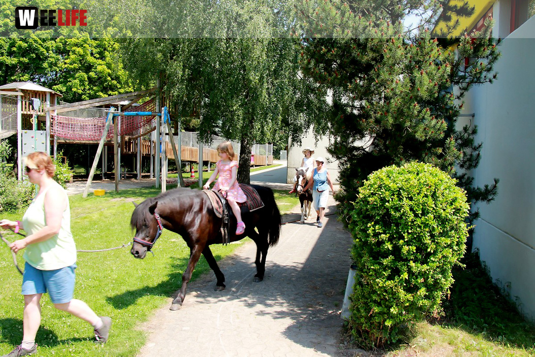 Sommer Garten Fest