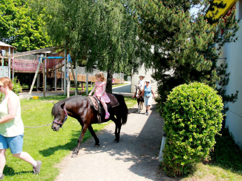 Sommer Garten Fest – Foto 69