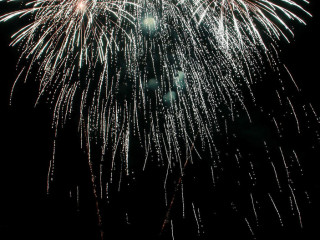 Foto 142058 im Album