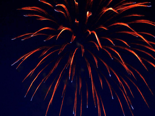 150 Jahre Wiesenfest Berg Feuerwerk – Foto 47