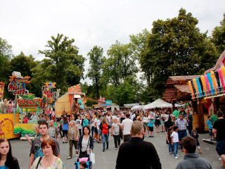 Vorschau des vorherigen Fotos