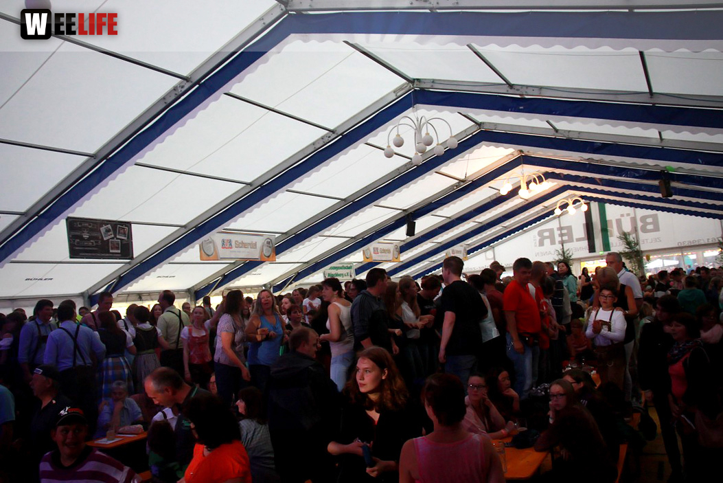Wiesenfest Münchberg 2015 Dorfrocker