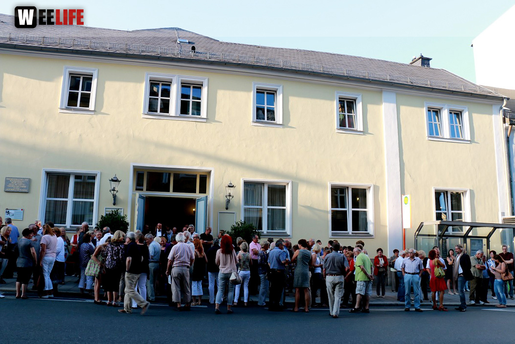 Viessmann Sommerkonzert der Hofer Syphoniker