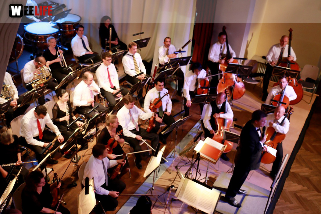 Viessmann Sommerkonzert der Hofer Syphoniker