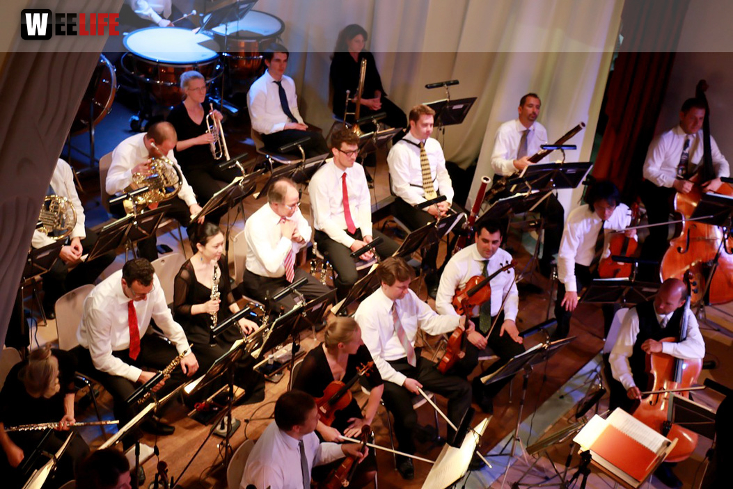 Viessmann Sommerkonzert der Hofer Syphoniker