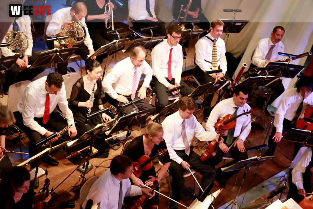 Viessmann Sommerkonzert der Hofer Syphoniker