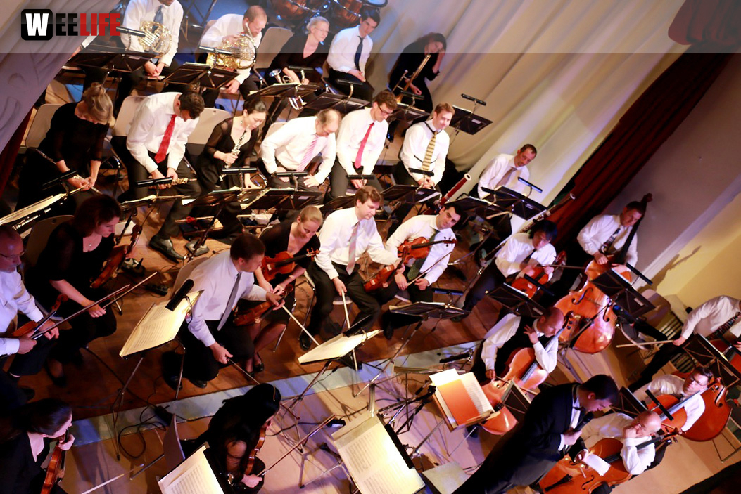 Viessmann Sommerkonzert der Hofer Syphoniker