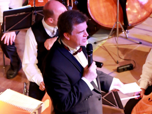 Viessmann Sommerkonzert der Hofer Syphoniker – Foto 24