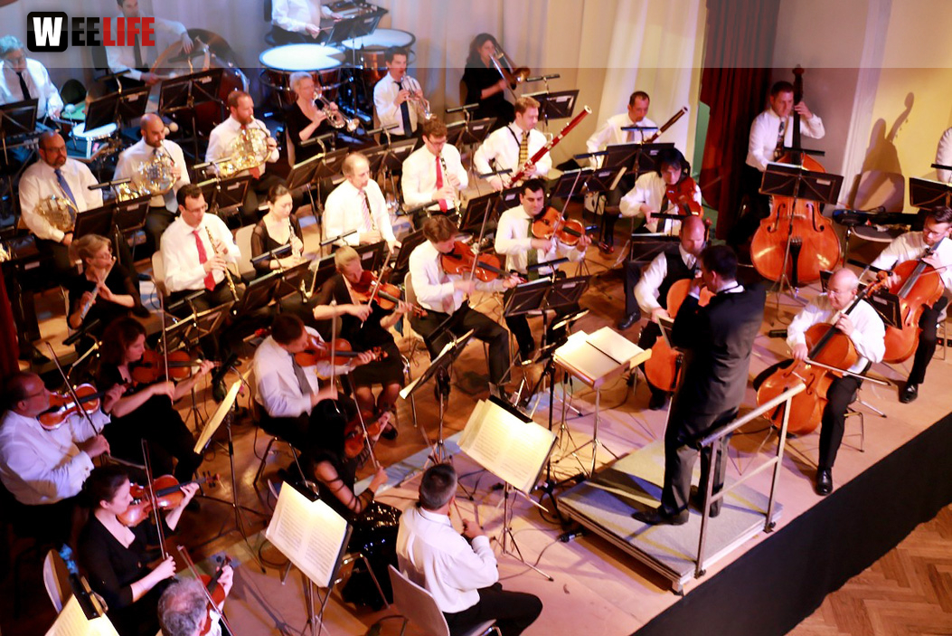 Viessmann Sommerkonzert der Hofer Syphoniker