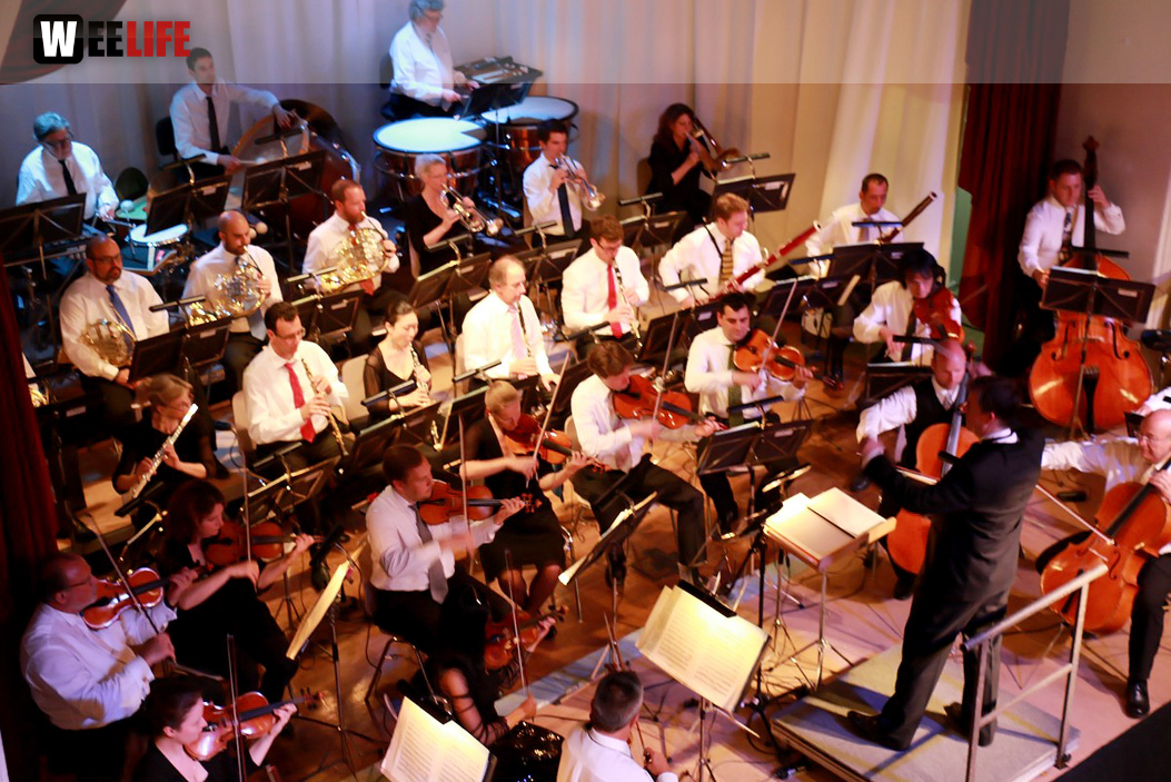 Viessmann Sommerkonzert der Hofer Syphoniker