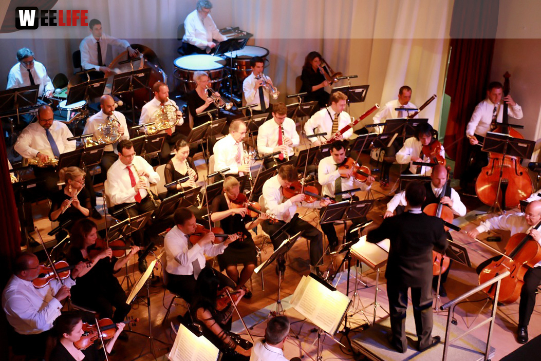 Viessmann Sommerkonzert der Hofer Syphoniker