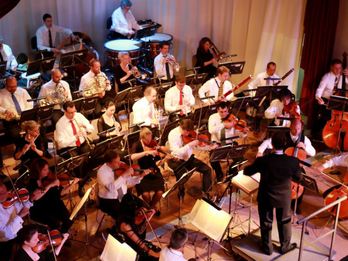 Viessmann Sommerkonzert der Hofer Syphoniker – Foto 31