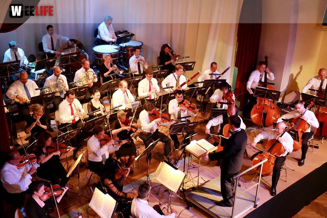 Viessmann Sommerkonzert der Hofer Syphoniker